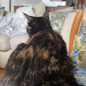 Meet your Posher, Erin